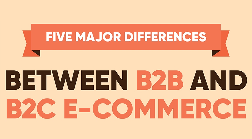 5 Major Differences between B2B and B2C Ecommerce Infographic