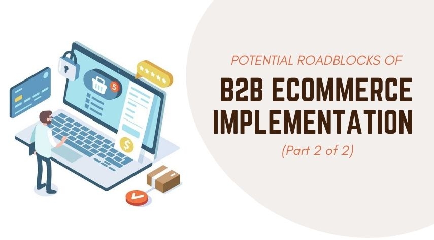 Potential Roadblocks of B2B Ecommerce Implementation Part 2 of 2