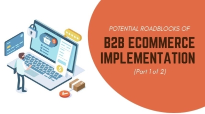 Potential Roadblocks of B2B Ecommerce Implementation Part 1 of 2